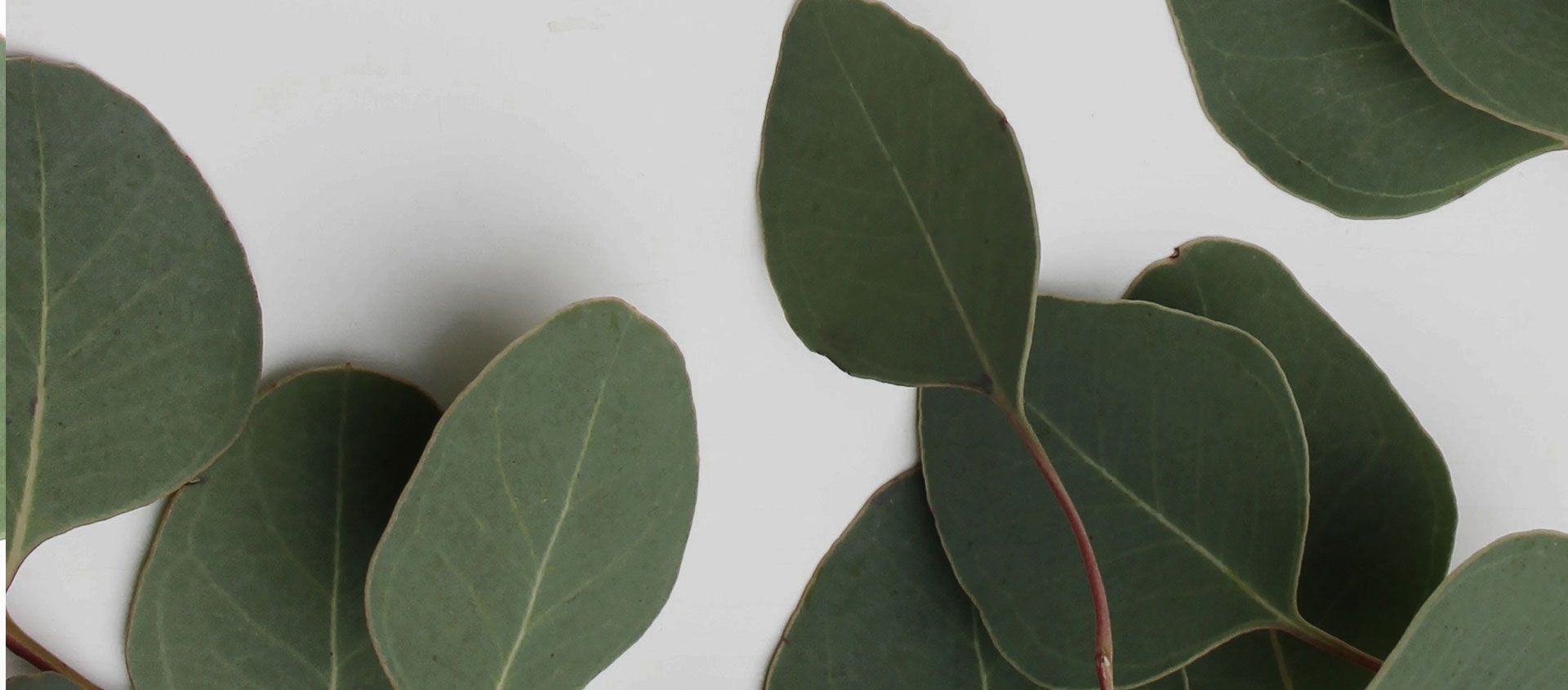 Взыскание ущерба от экологических правонарушений в Богородском