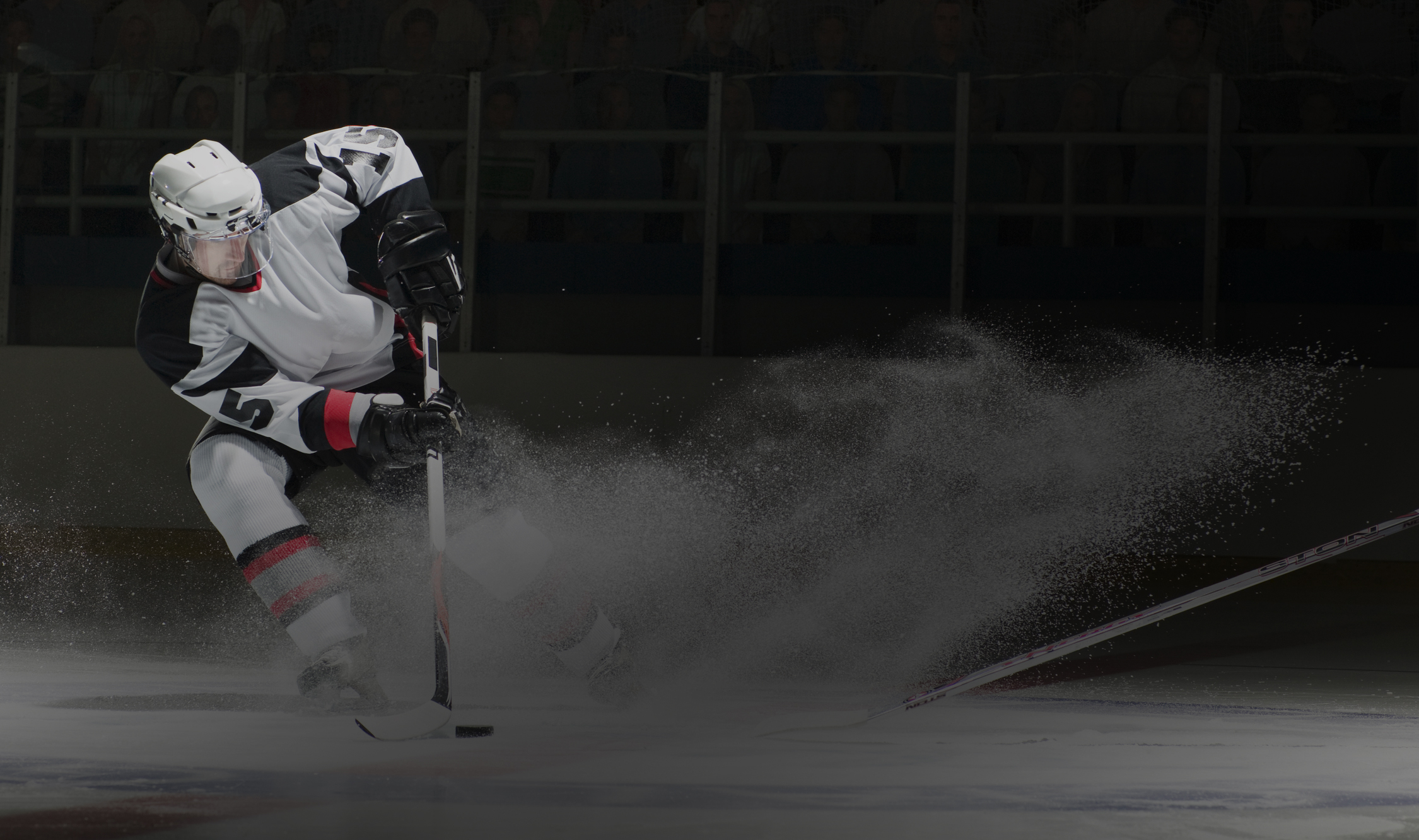 Услуги спортивного юриста в Богородском